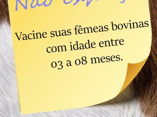 Campanha de Vacinação Contra Brucelose Bovina