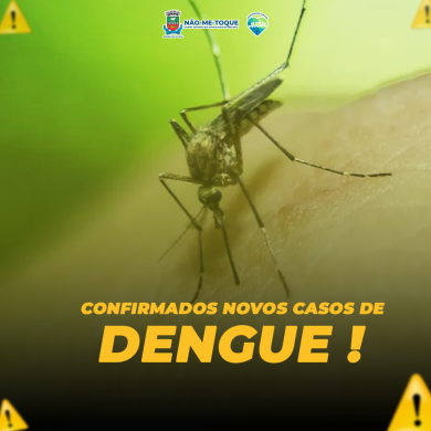Não-Me-Toque confirma o 5º e 6º caso de Dengue no ano de 2023 